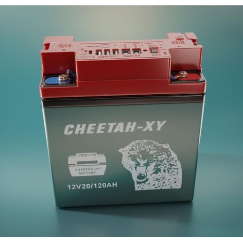 Batterie Solaire Multifonction CHEETAH-XY 12V – Station d'Énergie Portative avec USB 5V, Sorties DC 12V & Interrupteur