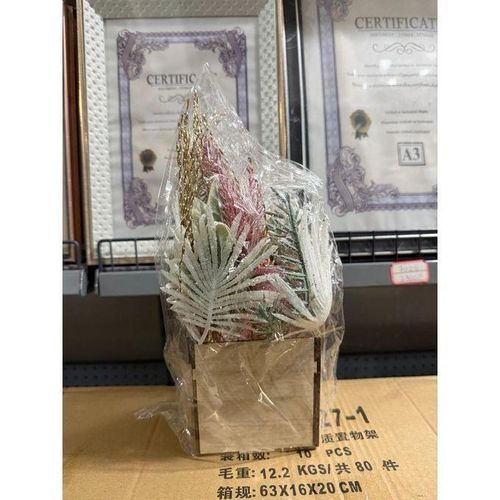 Décoration de Noël avec pomme dorée et plantes sur support carré