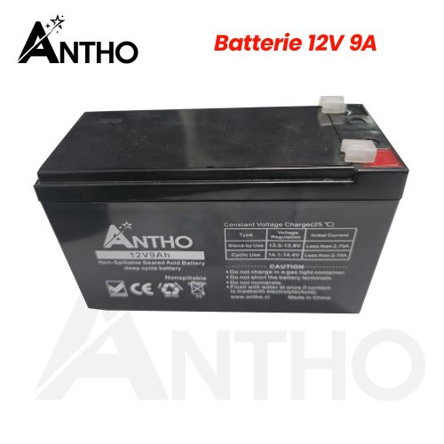 Batterie Pour Onduleur 12V 9A