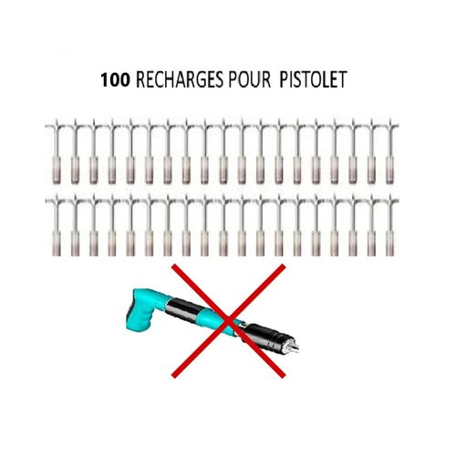 100 Clous Pour Pistolet Rivet