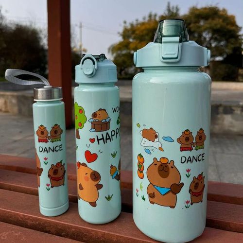 Pack de 3 gourdes ( 2L/1L/300ml)