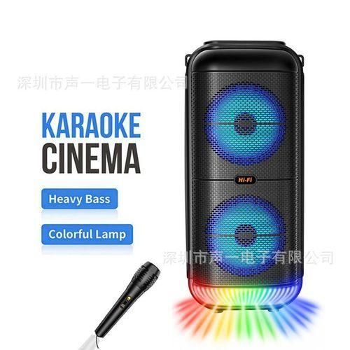 Enceinte Bluetooth LED Karaoké Double Haut-Parleur avec Microphone