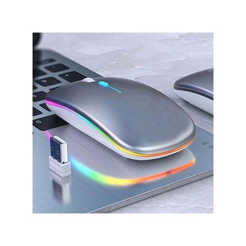 Souris Sans Fil Rechargeable Bluetooth 2.4G Et Port