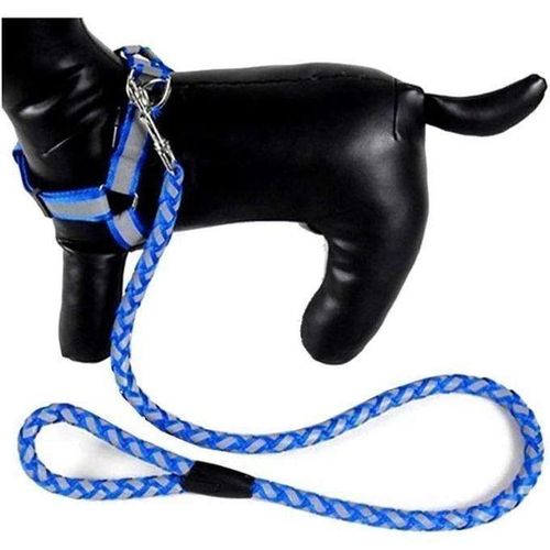 Harnais Tour De Poitrail + Laisse Pour Petit Chien /Chiot