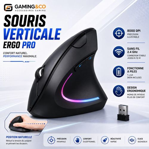 Souris Verticale Ergonomique Sans Fil 2.4G - Souris Optique de Bureau pour PC et Ordinateur Portable