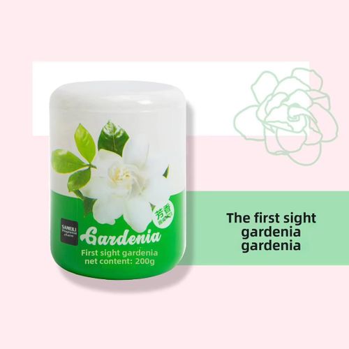 Vaporisateur pour maison et voiture