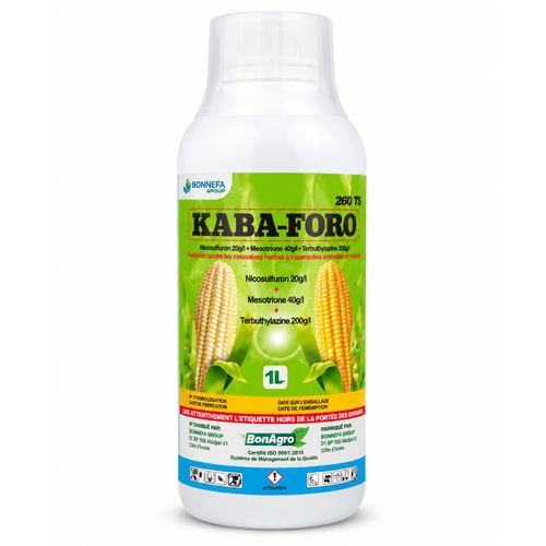 KABA-FORO 260 TS – Herbicide Sélectif Maïs – 1 L