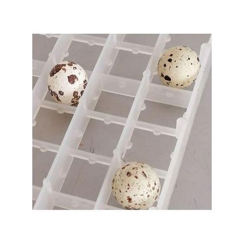 Alvéole d'œufs de cailles 221 œufs (LOT DE 5)