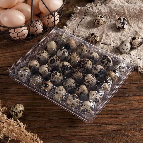 ALVEOLES OEUFS DE CAILLES DE 30 ( Lot De 50 Alvéoles)