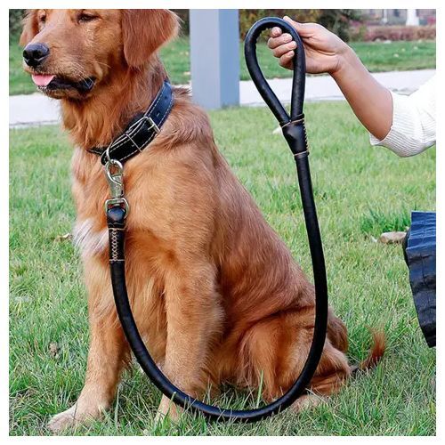 Laisse De Chien En Cuir Ultraconfortable