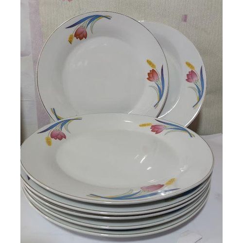 Lot de 10 pièces assiettes plates en porcelaine