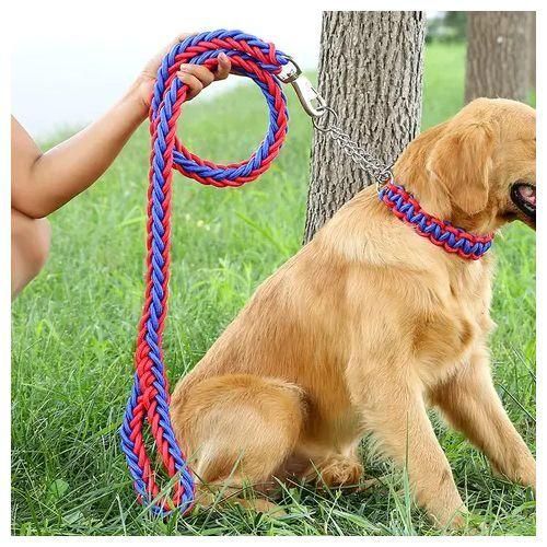 Robuste sécurité de chien de de traction de laisse de harnais