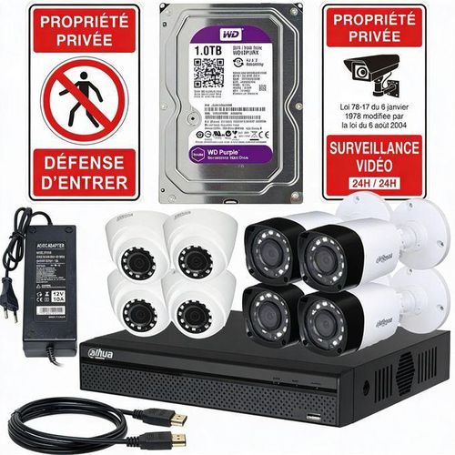 Kit Vidéosurveillance Professionnelle – DVR 8CH +8 caméras (4 Dômes + 4 Bullets) Infrarouges, Disque Dur 1To Western Digital Purple et 2 Panneaux Dissuasifs - 2Mp Analogiques
