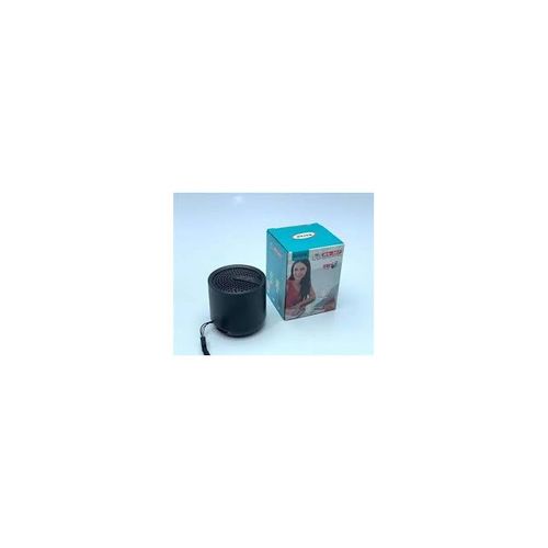 Haut-parleur Bluetooth Portable - WS-307 - Noir