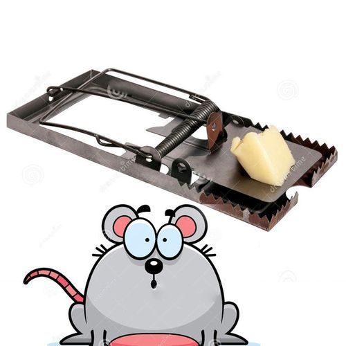 Piege A Souris Bon Pour Se D'Ebarassè Des Nuisibles