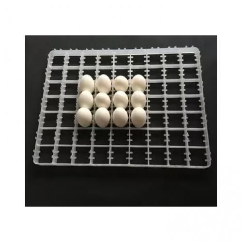 Alveole 63 Oeufs De Canard Et De Dindon Pour Couveuse (lot De 3)
