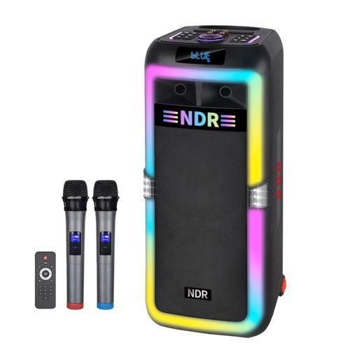 Enceinte home cinéma professionnelle NDR-1708
