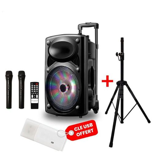 Enceinte Bluetooth Portable D15 - Noir + 2 Micros + 1 Télécommande + 1 Trépied