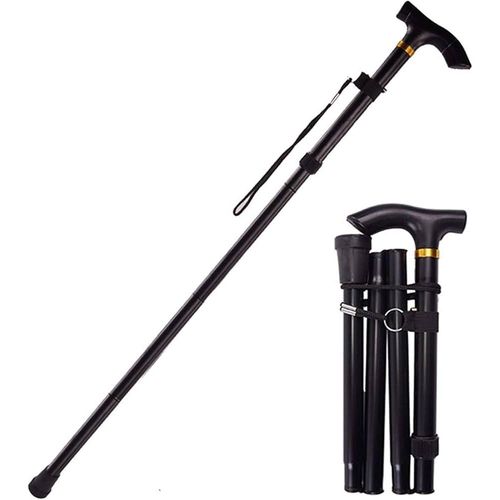 Canne de support de marche