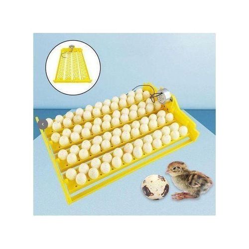 Incubateur D’oeufs 88 Oeufs Automatique Oeuf Rotation Couveuse Couveuse DC 12V--