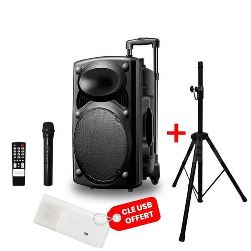 Enceinte Bluetooth Portable D12 + 1 Micro + 1 Télécommande - Noir + Trépied & Clé USB Offerte
