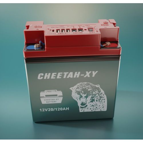 Batterie Solaire Rechargeable CHEETAH-XY (12V20/120AH) – Station de Charge Polyvalente 12V avec Multi-Ports USB 5V, Sorties DC 12V, Interrupteur & Bornes à Vis pour Kit Solaire, Camping & Secours