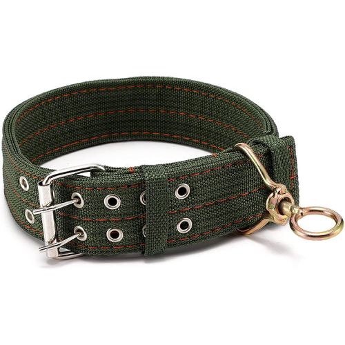 Collier Pour chien