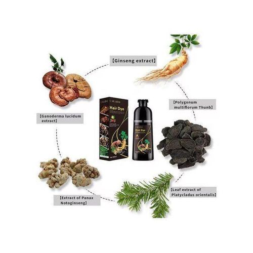 Sefudun Shampooing colorant noir plus Derma roller