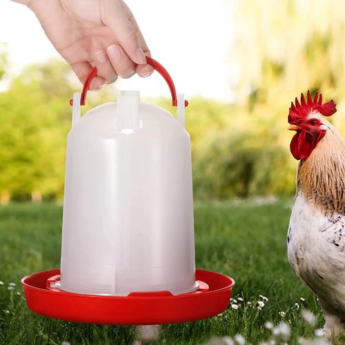 Abrevoir 6 litre lot de 10