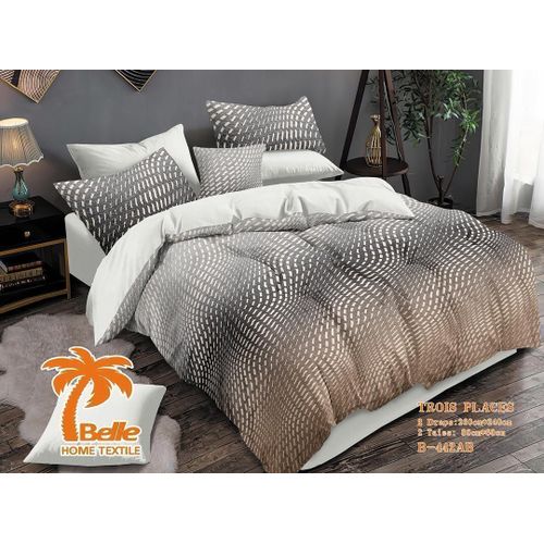 Lot de 2 Draps et 2 Taies - Confort et Élégance pour Lit 3 Places