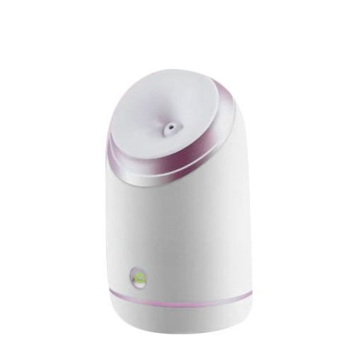 Vaporisateur Facial Professionnel