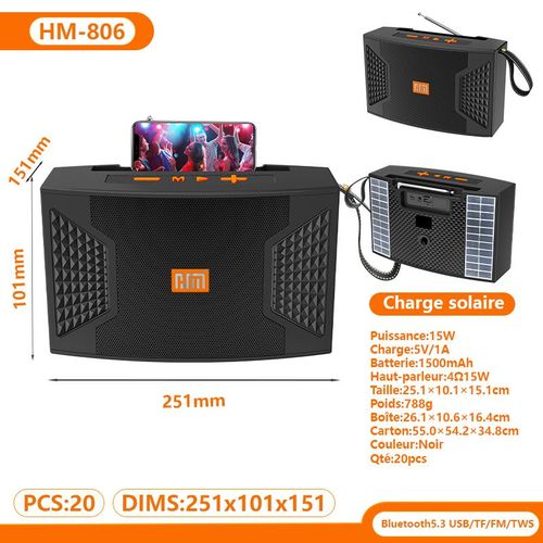 Enceinte sans fil Bluetooth portable à emporter, usage maison et plein air, équipée d’éclairage à couleurs variables, rendu sonore à basse renforcée pour pelouses et espaces extérieurs