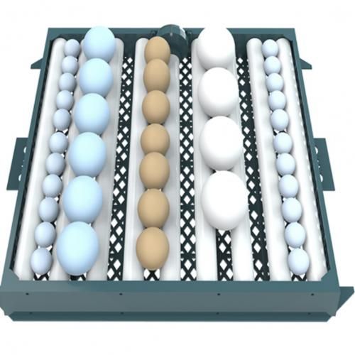 Compartiment Pour Augmenter La Capacité Des Couveuses Automatiques Type 128 Oeufs