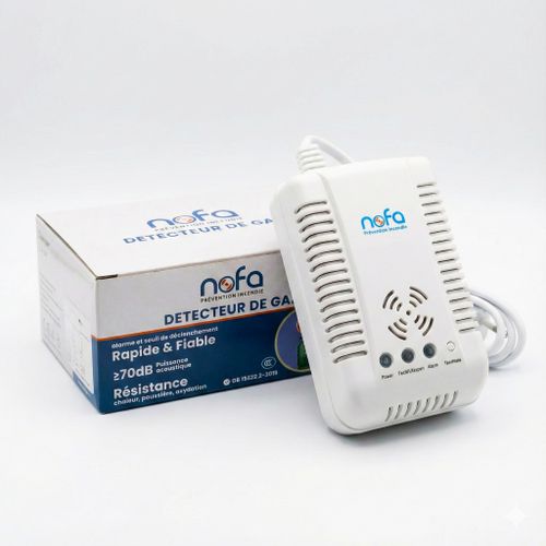 Détecteur de fuite de gaz