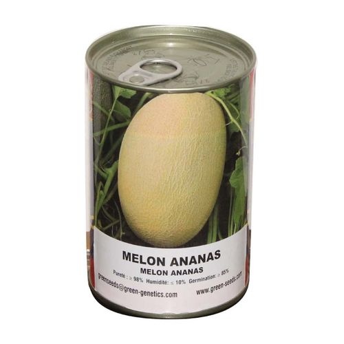Semence Melon Ananas - Boite De 100G