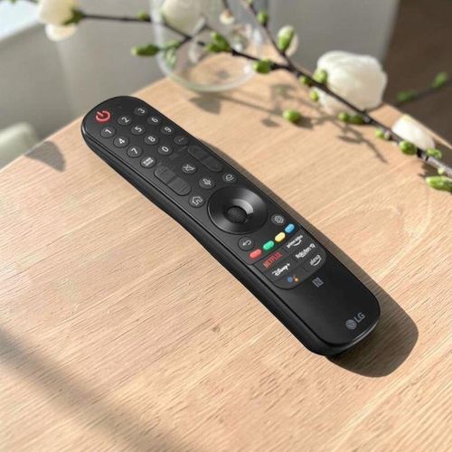 LG Télécommande Smart TV avec accès direct aux plateformes ...