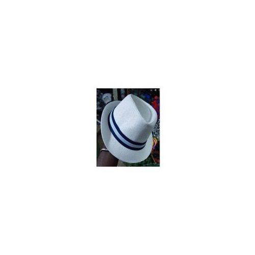 Lot De 2 Chapeau Canotier Bllanc +un Offert
