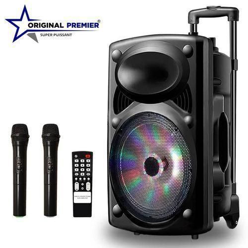 Enceinte Bluetooth D-15L Baffle Amplifier + 2 Microphones