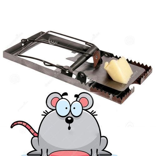 Piege A Souris Bon Pour Se D'Ebarassè Des Nuisibles