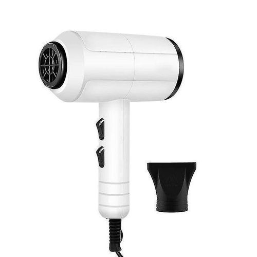Sèche-cheveux 750W Portable Professionnel Pour Coup De Cheveux