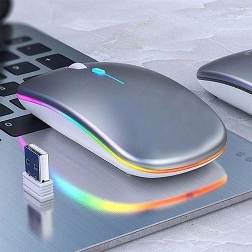 Souris Sans Fil Rechargeable Bluetooth 2.4G Et Port