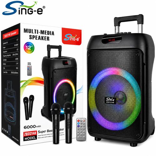 Enceinte Bluetooth Portable 12 Pouces, Sing-ZQS12148 Party Speaker avec Lumières LED RGB, Bluetooth 5.0, Batterie 6000 mAh, 2 Microphones Sans Fil, Karaoké, USB, Carte TF, Radio FM