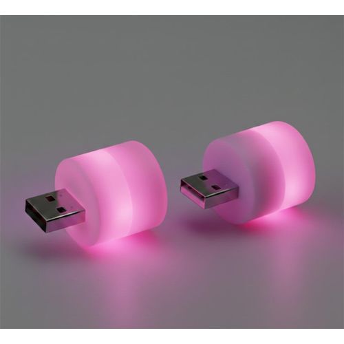KIT DE 2 Mini-Ampoules LED USB 1 Watt, Veilleuse Eclairage à Rose, Prise USB, PC