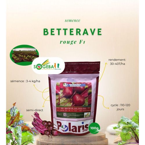 SEMENCE SOGEBA - BETTERAVE ROUGE F1