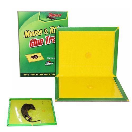 Attrape Souris Super Colle