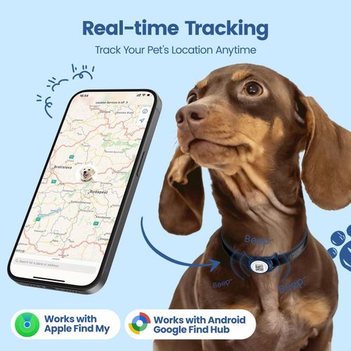 AirTag Traceur GPS Collier pour Animaux Chien,Chat – Compatible Apple et Android