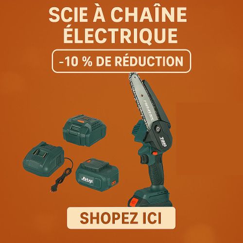 Tronçonneuse électrique Côte d’Ivoire, Chaîne à batterie lithium, outil de coupe bois rechargeable, mini tronçonneuse Jumia Abidjan
