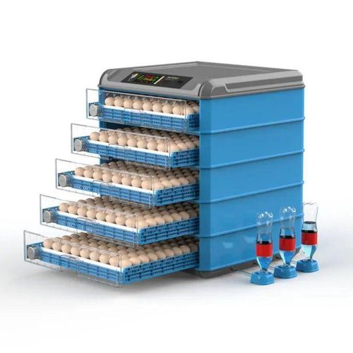 Incubateur ou couveuse automatique 500 œufs ( poulets, cailles,pintades, oie,dindons,canards )