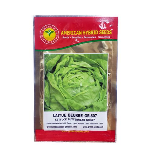 Semence Laitue Beurre Gr-607 - Sachet de 5g