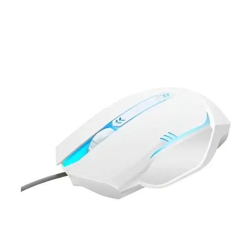 Souris Ergonomique avec rétro éclairage Gaming Filaire pour ordinateurs et gamers